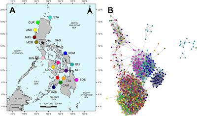 Complex patterns of genetic structure in the sea cucumber Holothuria (Metriatyla) scabra from the Philippines: implications for aquaculture and fishery management